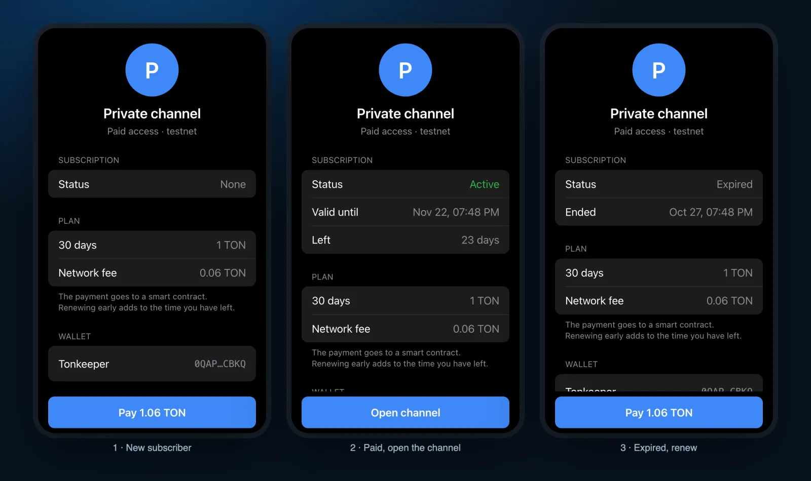 Paid channel access on TON